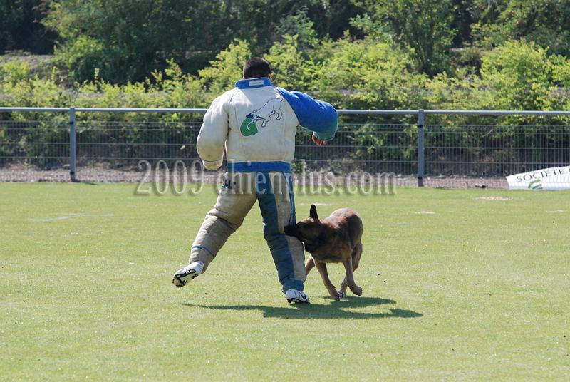 3 EME SELECTIF 2009 GRANDE SYNTHE 205.jpg